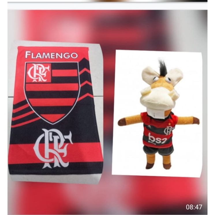 Kit duas peças cavalinho Flamengo e toalha de banho do flamengo | Shopee  Brasil