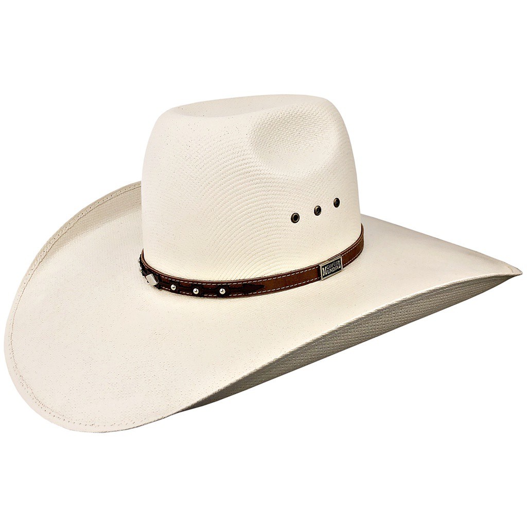 Chapéu country cowboy cowgirl masculino e feminino Original | Shopee Brasil