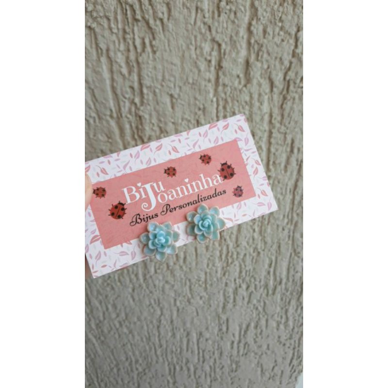 Suculenta Glauca: Onde Comprar | BuscaProdutos