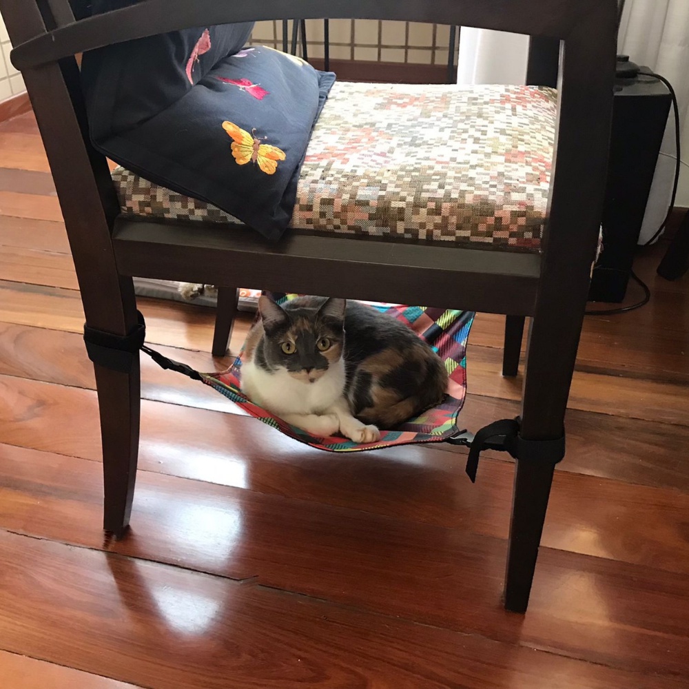 Redinha De Gatos Para Cadeiras, Poltronas E Mesa De Canto