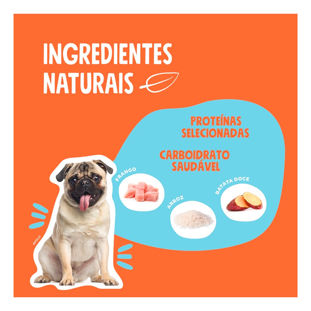 Ração Quatree Select Cães Adultos Raças Pequenas Frango e Arroz - 15kg — imagem 2 de 2