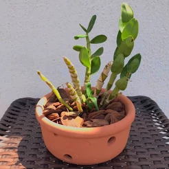 Vaso Cerâmica Furado Barro para Orquídeas e Plantas 13x25cm