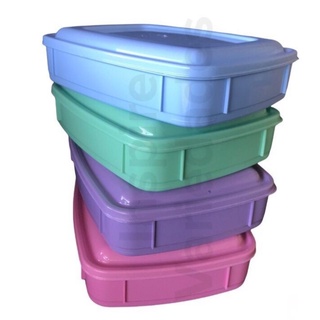 Kit 4 Peças Potes Porta Frios 500ML Com Tampa CORES SORTIDAS Em Plástico