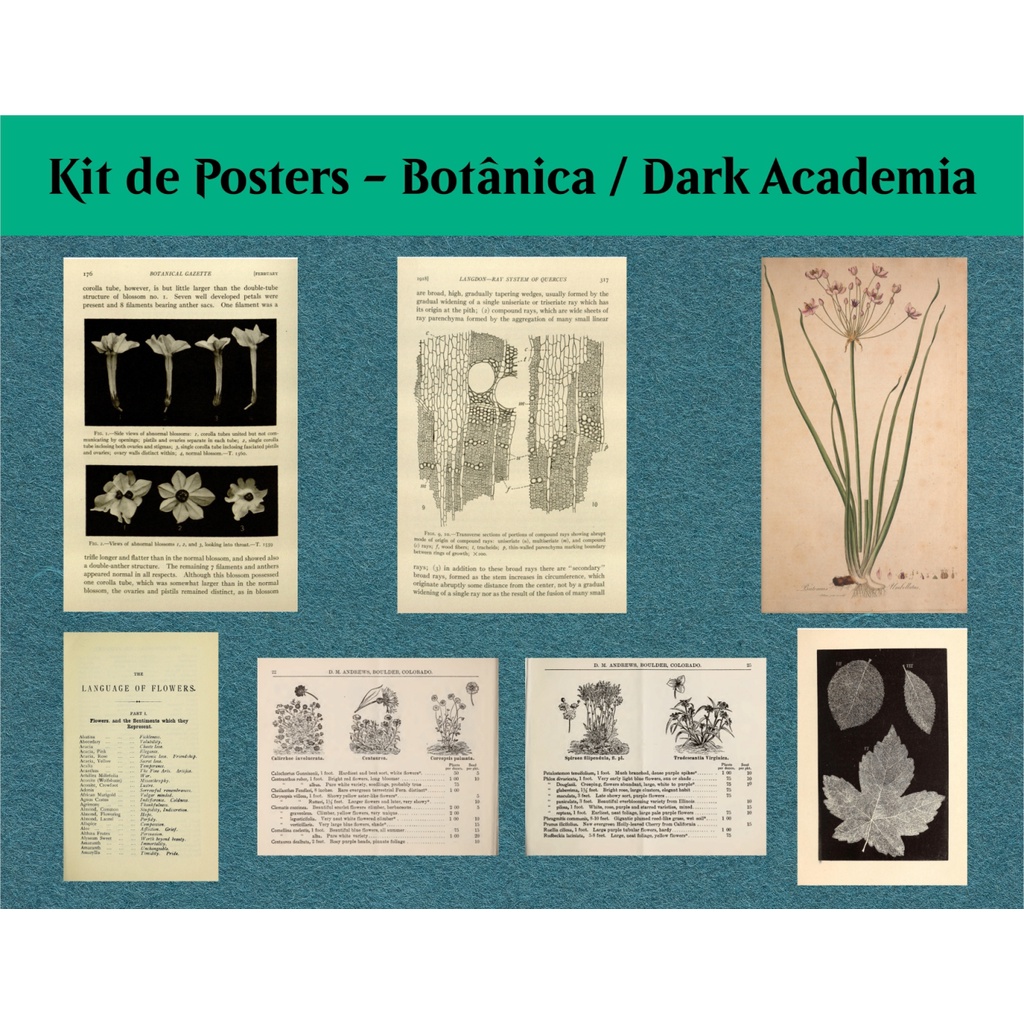 Kit de Mini Posters - Plantas, Botânica e Herbologia (Dark Academia)