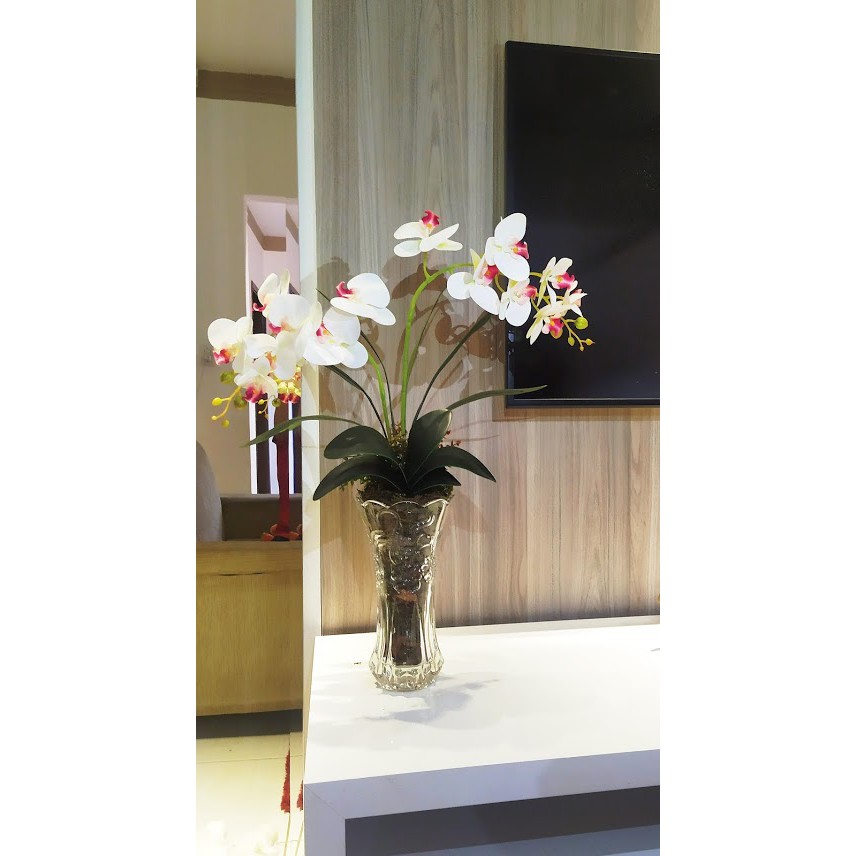 Vaso Transparente Alto 30cm com 2 Orquídeas | Shopee Brasil