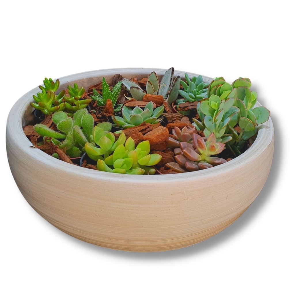 Vaso Bacia de Cerâmica para Arranjos de Cactos e Suculentas 33 x 10cm Cor Palha em Oferta na Shopee