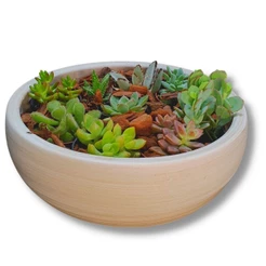 Vaso Bacia de Cerâmica para Arranjos de Cactos e Suculentas 33 x 10cm Cor Palha