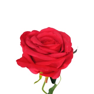 flor vermelha em Promoção na Shopee Brasil 2023