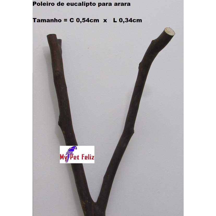 poleiro para arara - poleiro para cacatua  - poleiro natural - poleiro galhos naturais tronco para serpentes cobras M26
