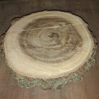 Bolacha de Madeira Natural Rústica - 20 cm diâmetro - Para Decoração De Festa Casamento Aniversario Churrasco em Oferta na Shopee