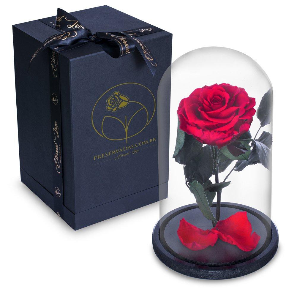 Rosa Encantada Rosa Eterna na Cúpula de Vidro | Shopee Brasil