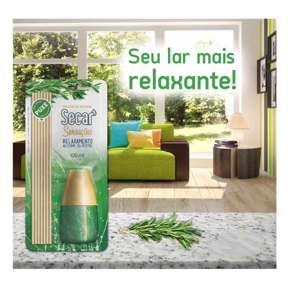 Difusor De Aromas Secar Sensações Que Se Sente No Ar 100ml | Shopee Brasil