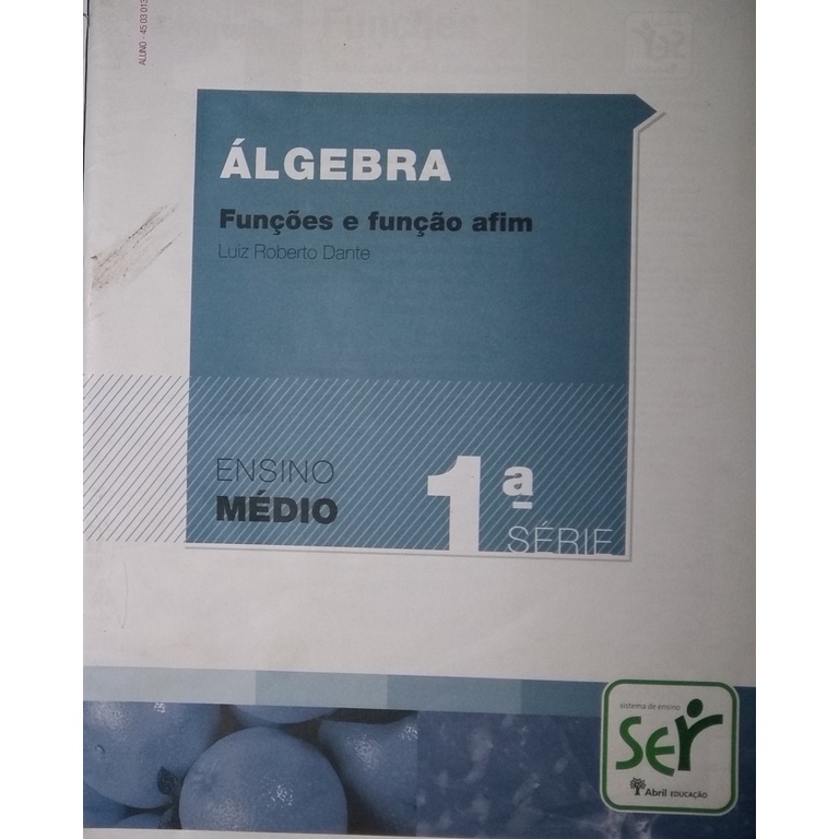 ÁLGEBRA FUNÇÕES E FUNÇÃO AFIM 1ª SÉRIE - LUIZ ROBERTO DANTE