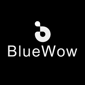 bluewow.br