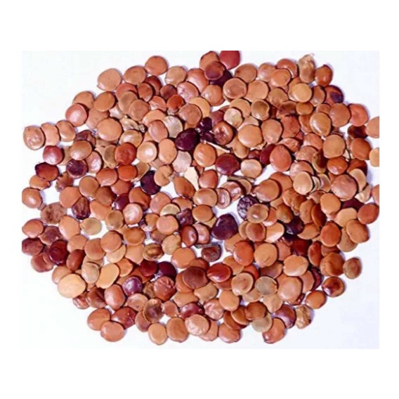 Gliricidia Sepium - 1kg De Sementes / Adubo Verde