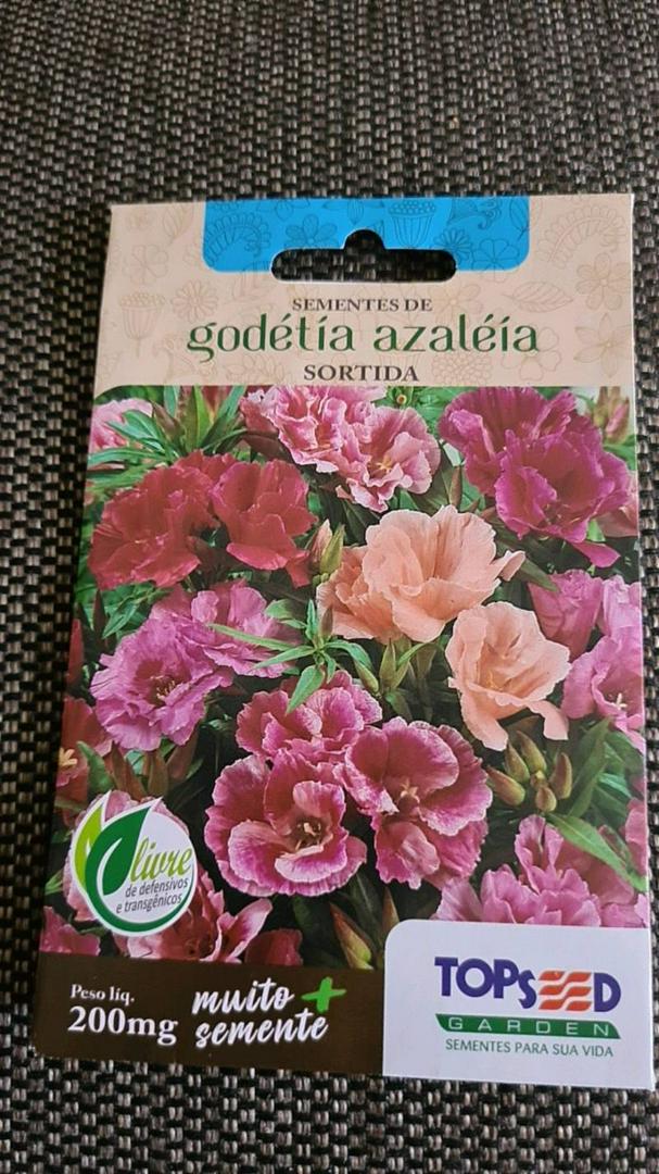 Sementes de Godétia Azaleia - 200 mg - Topseed | Shopee Brasil