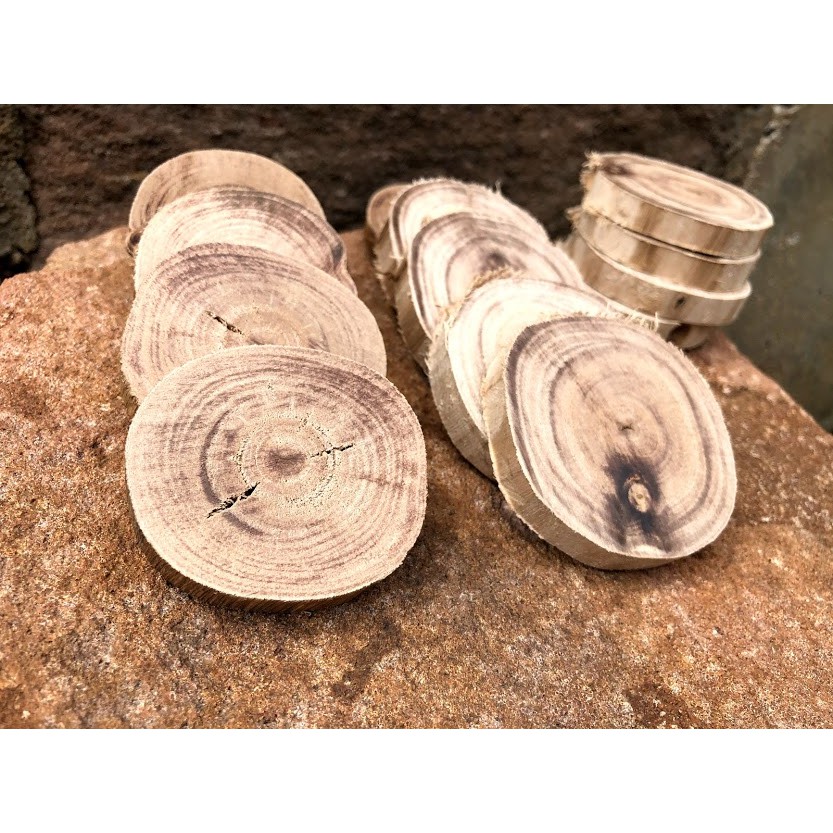 10 Bolacha de Madeira tronco para decoração com 5 cm de diâmetro