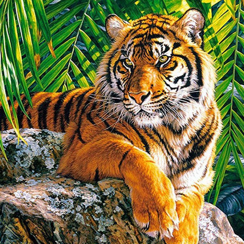 YEESAM ART New Diamond Painting Full Drill 5D Kits DIY Crystals Diamond Rhinestone Painting Pasted Paint by Number Kits Cross Stitch Embroidery 30 * 40 Cat & Tiger Animal 30 * 40cm 