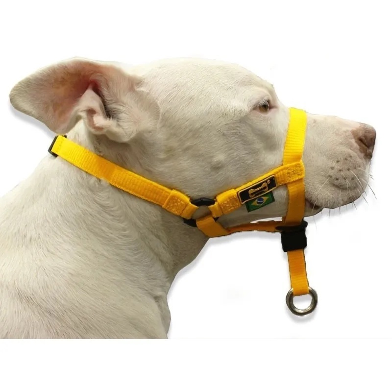 Coleira Cabresto Amorosso Halti em Oferta na Shopee
