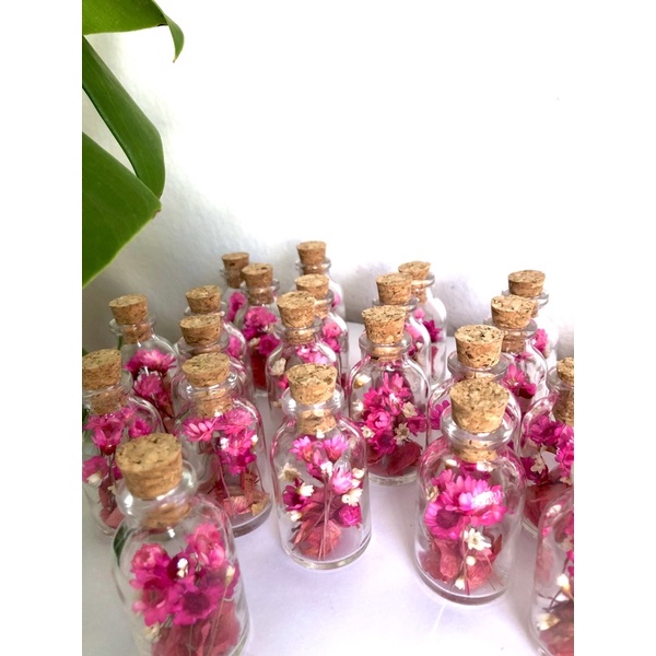 50 jardim preservado de flores desidratadas em mini garrafas de vidro 24ml ( lembrancinha) | Shopee Brasil