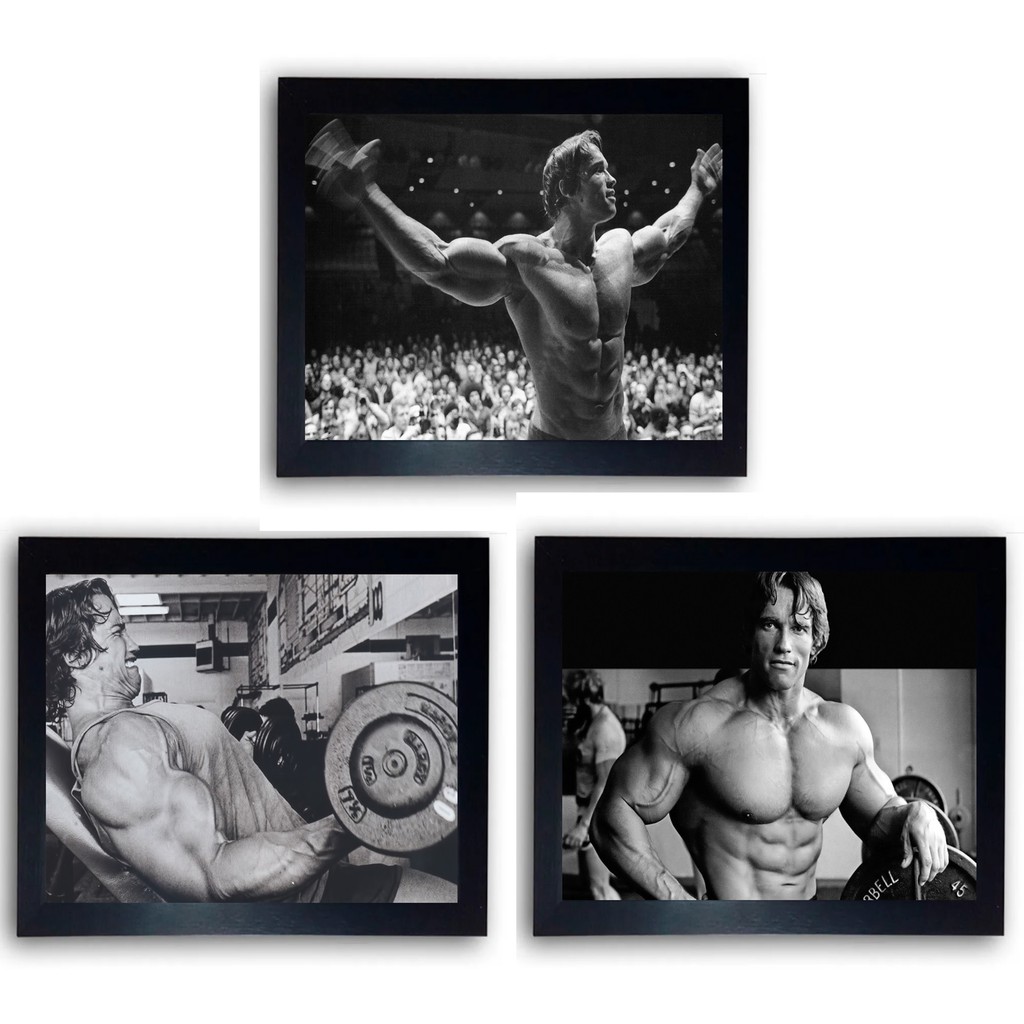 3 Quadros Decorativos Arnold Schwarzenegger Moldurado