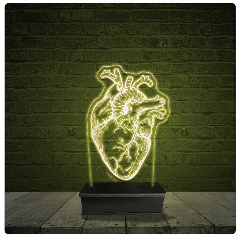 Led Luminária Acrílico Abajur - Coração Medicina Médico Cardiologia
