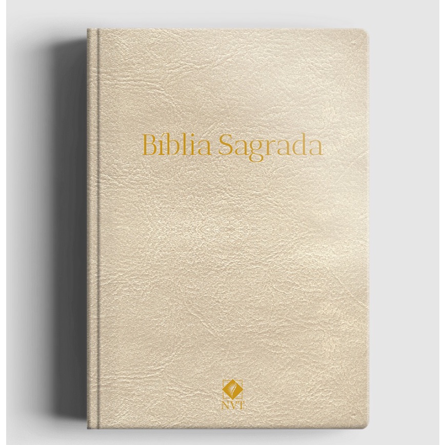 Bíblia Sagrada Slim | NVT | Capa Luxo Champanhe - Books & Magazines