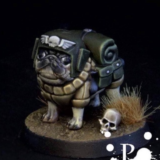 Space Pug Marine Miniatura para RPG BUDDY warhammer 40k wargames DND