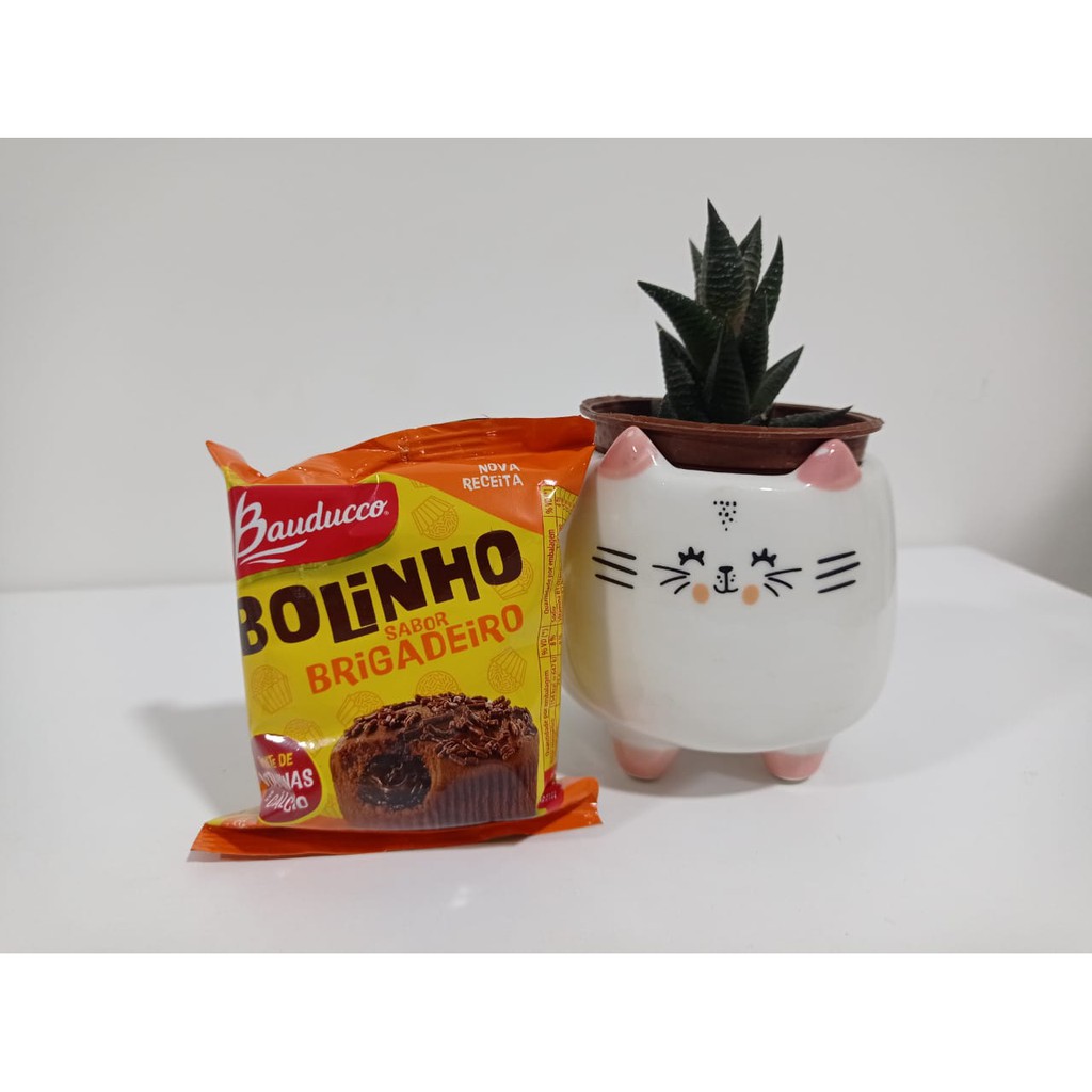 Bolinho Bauducco 40g - Diversos