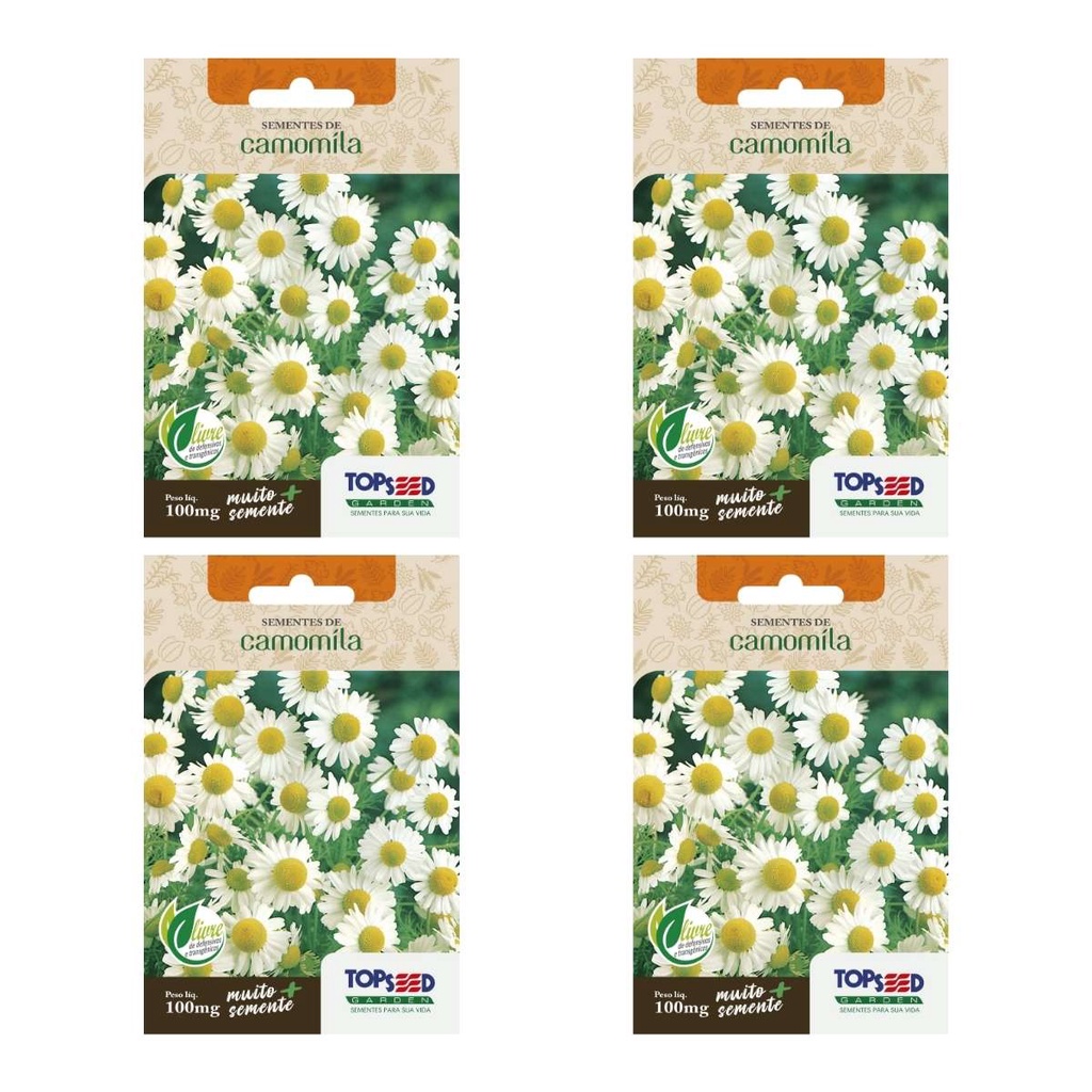 4X Sementes de Camomila TOPSEED em Oferta na Shopee