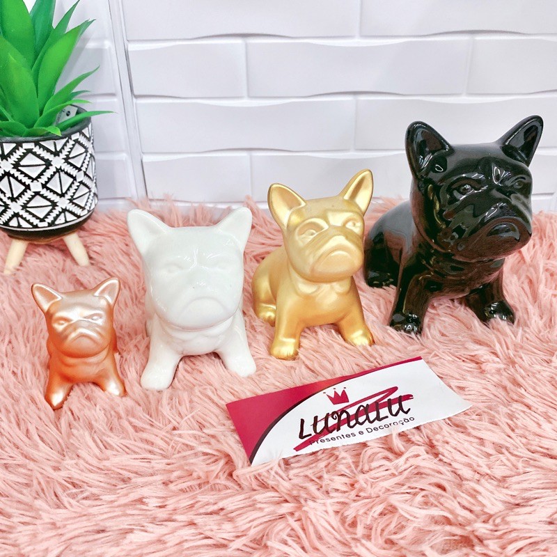 Bulldog Frances Branco: Onde Comprar | BuscaProdutos