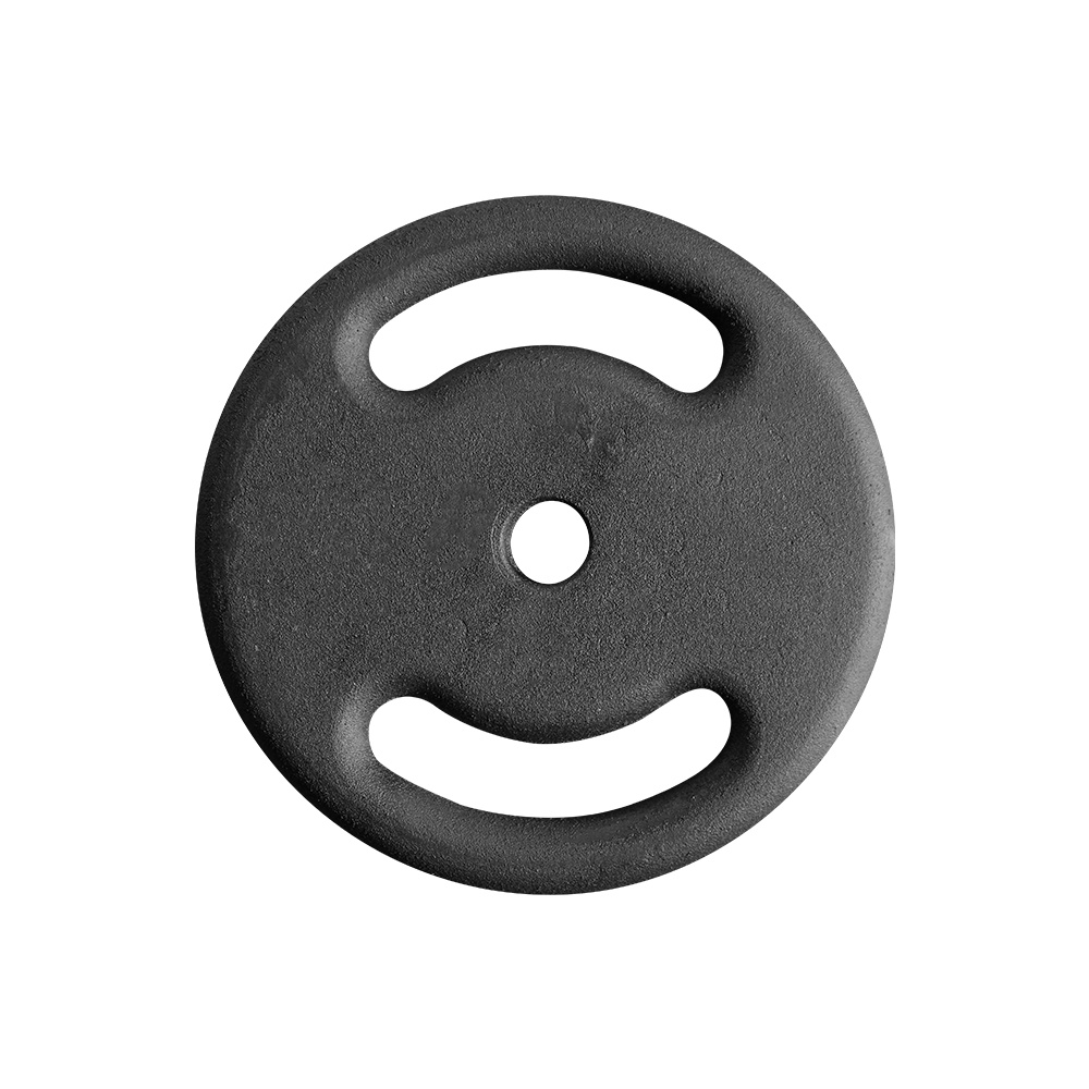 Anilha de 10 Kg Pintada Para Treino Musculação