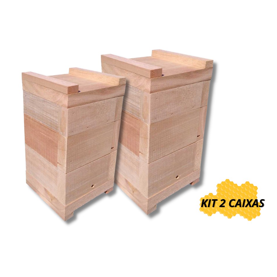 Kit 2 Caixas de Abelhas Jatai Mirim Sem Ferrão Asf Modelo Inpa Eucalipto Rosa 10x10cm