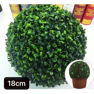 Bola de buchinho 18 cm /grama artificial para decoração de casa para compor vasos, arranjos e decorar a sua casa, banheiro casamento em Oferta na Shopee