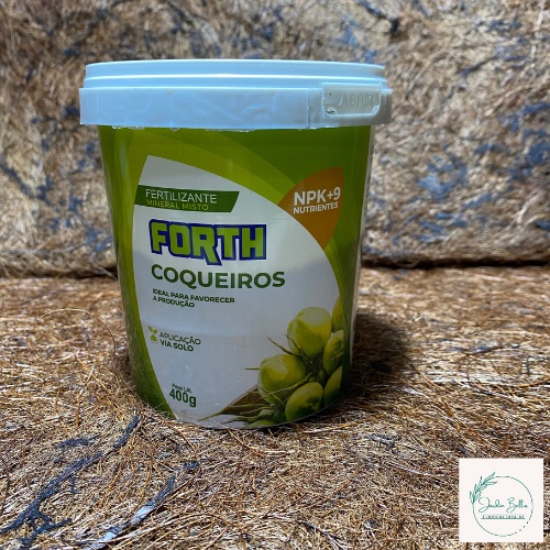 O que é Coqueiro de Jardim Planta? Guia e Onde Comprar | BuscaProdutos