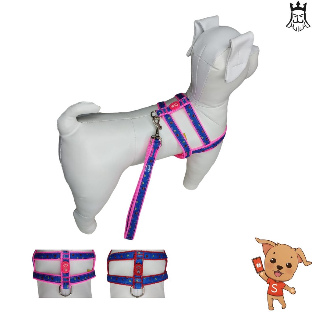 Coleira Conjunto Peitoral Com Guia Nylon - Modelo Messina