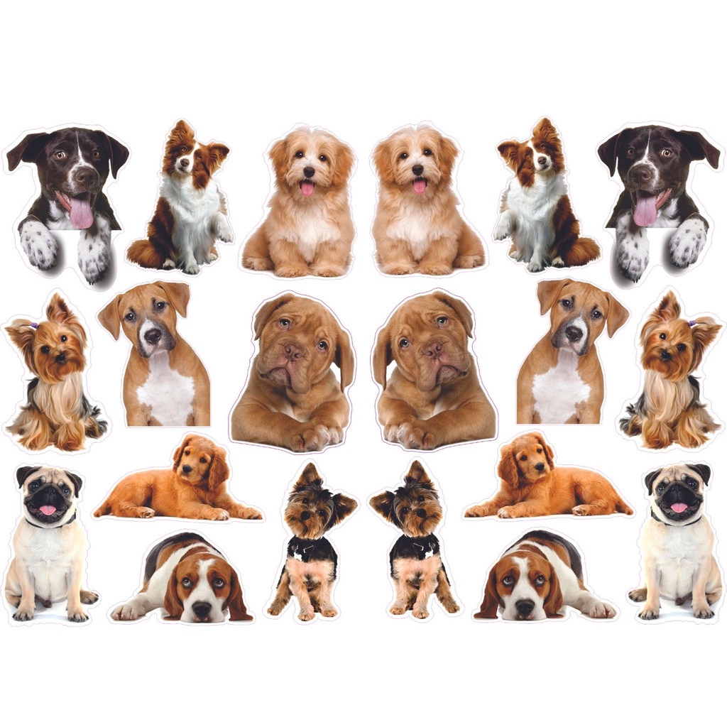 Adesivo de Parede Cachorros Pet Shop, banho e tosa 20 peças em Oferta na Shopee