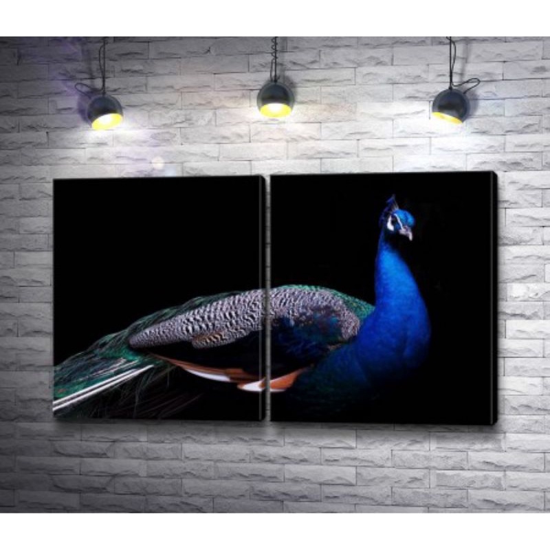 Quadros Decorativos pavão cauda fechada Decoração De Quarto e Sala pavão cauda fechada Kit 2pcs 50x30 #36