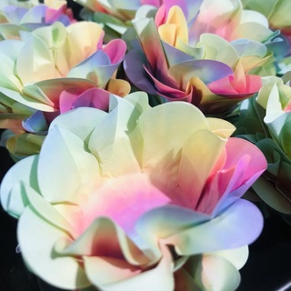 40~200 forminhas para doces festa tie day aniversário flor style em Oferta na Shopee