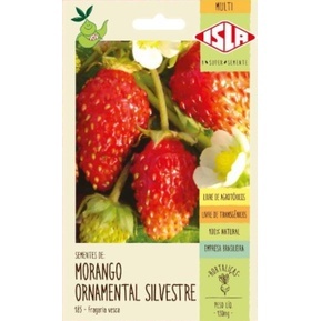 Sementes de Morango Silvestre - 50 mg - Isla em Oferta na Shopee