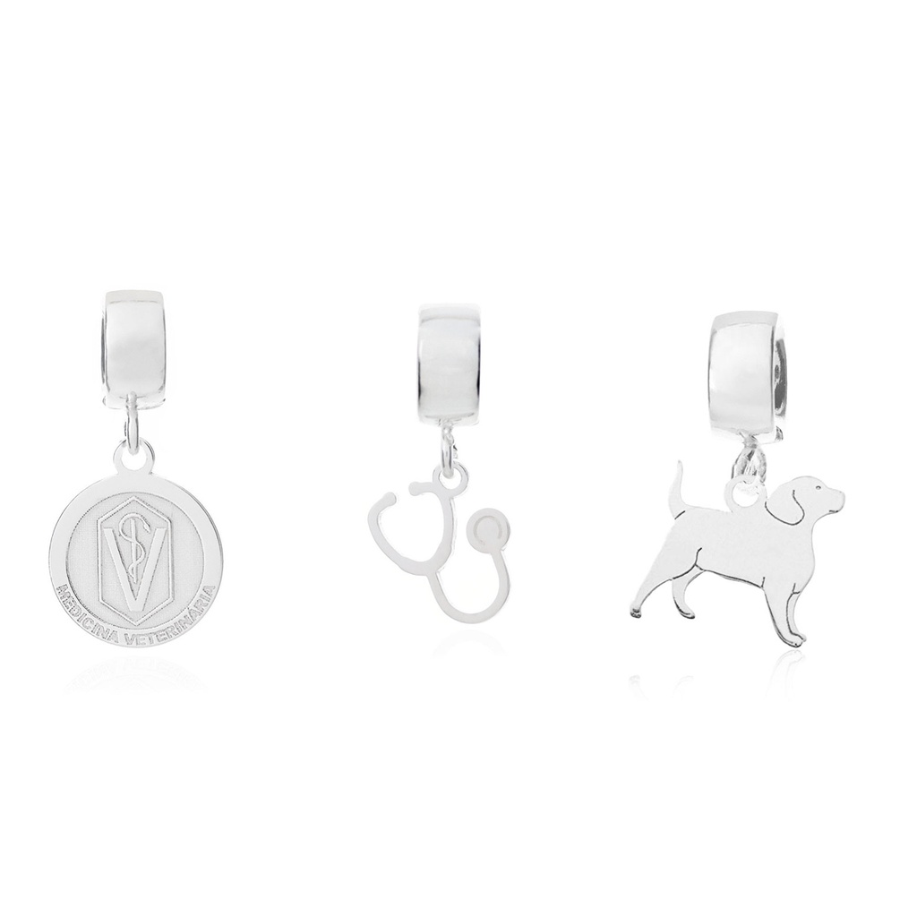 Kit Berloque Profissão Medicina Veterinária Pet Dog e Estetoscópio Prata 925