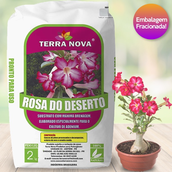 Substrato Rosa do deserto Terra Nova 2kg | Shopee Brasil