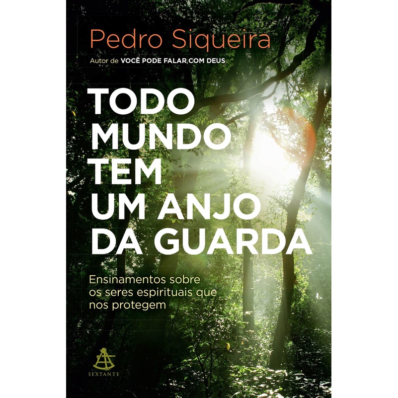Todo mundo tem um anjo da guarda: Ensinamentos sobre os seres espirituais que nos protegem em Oferta na Shopee