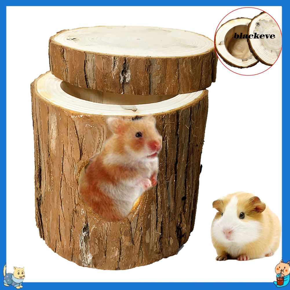 Hamster Por Tube