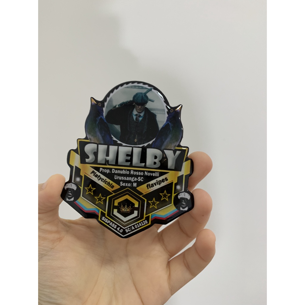 Placa personalizada para gaiola de pássaro; placa para sabiá, placa de trinca ferro, placa de azulão, placa de curió, placa de tiziu, placa para galo de campina, placa para caboclinho, placa para sibite, placa para todas espécies de pássaros