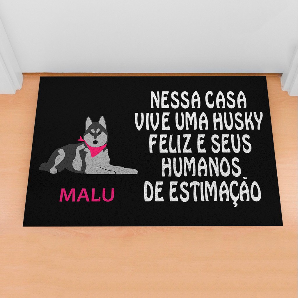 Husky Siberiano Femea: Onde Comprar | BuscaProdutos