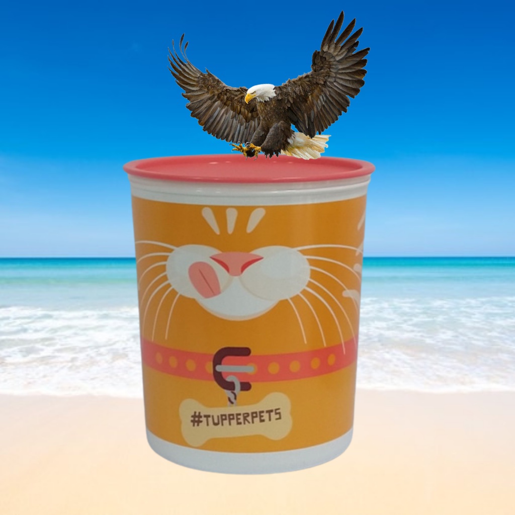 Tupperware Super Instantânea 5 Gatos 5,5 litros Shopee Brasil