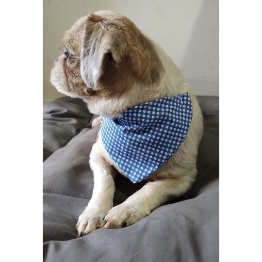 Bandana para Pet Acessorio pescoço Cachorro Gato Coleira linda varias estampas