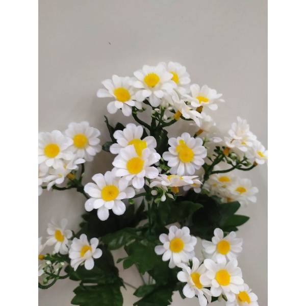 Buquê de Margaridas: Onde Comprar | BuscaProdutos