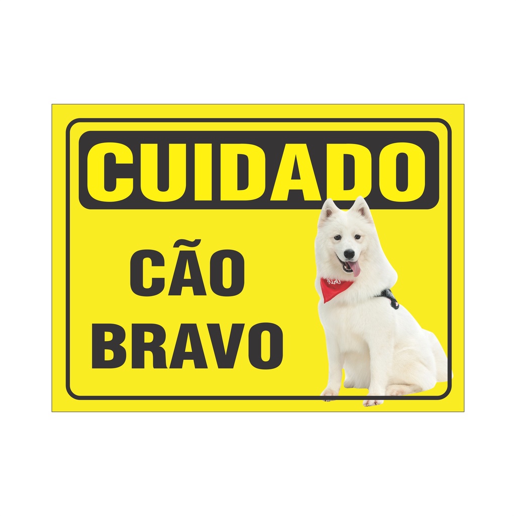 Cão Samoieda: Guia Completo e Onde Comprar | BuscaProdutos